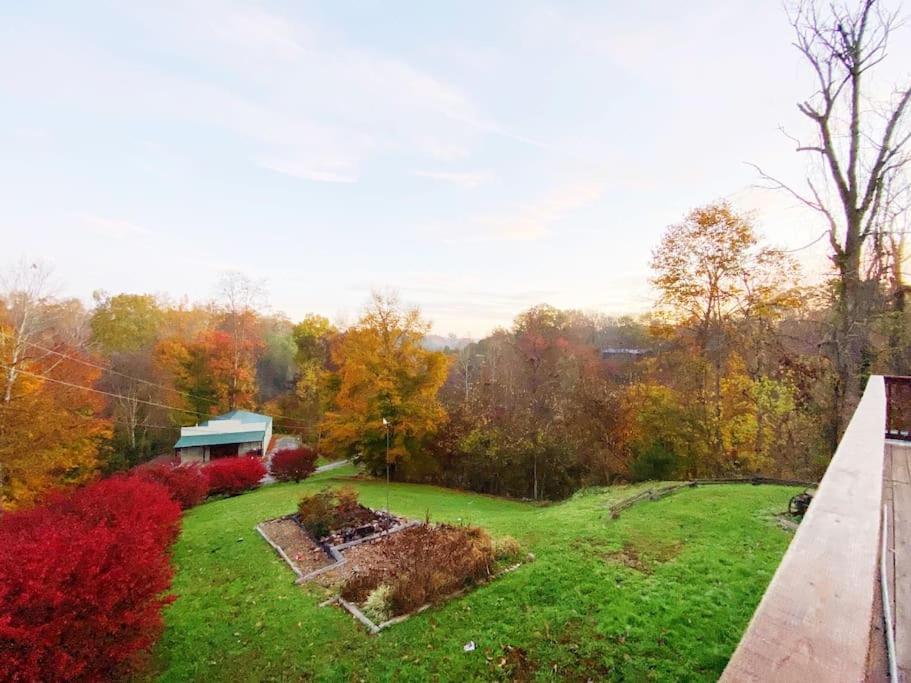Dog Friendly! Views! Hot Tub! Close To Pf! Gsmnp เซอเวียร์วีล ภายนอก รูปภาพ